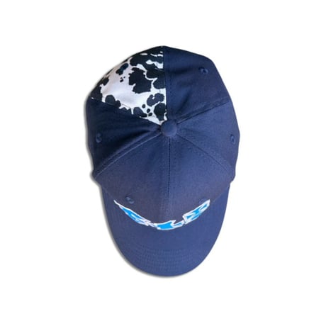 FUCK THIS INDUSTRY SORRY! FLEX FIT HAT BLUE