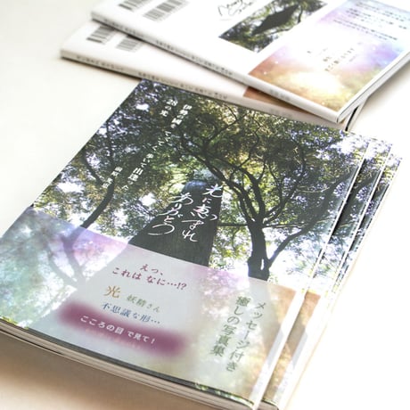 光に恵まれありがとう -伊勢の國を てくてく 歩いて 出逢った 28の光- 　著者：前原光恵