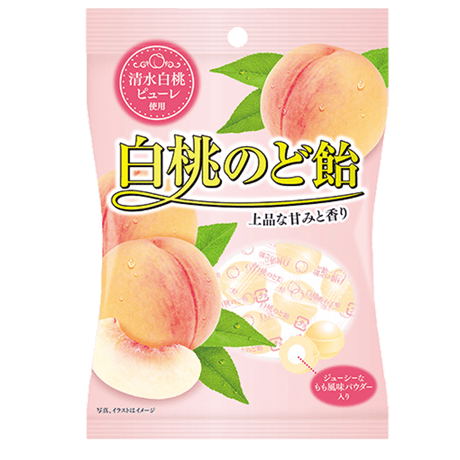 パイン株式会社 ネットショップ