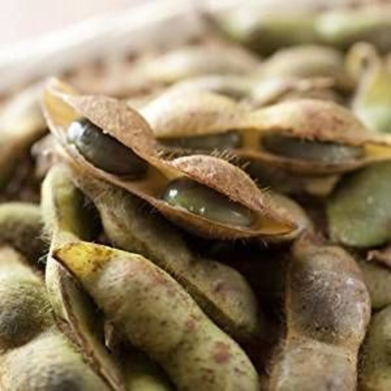 枝豆　黒豆 幻の丹波産黒枝豆ついに解禁！たった2週間しか販売できない幻の