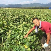 【10月限定】丹波ふたば農園の黒枝豆1kg（さや）【篠山市認定販売所】