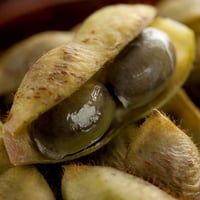 【10月限定】丹波たぶち農場黒枝豆1kg【篠山市認定販売所】