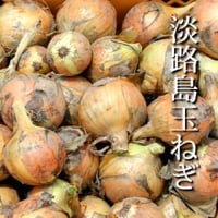 淡路島産たまねぎ3kg（約9～15個）