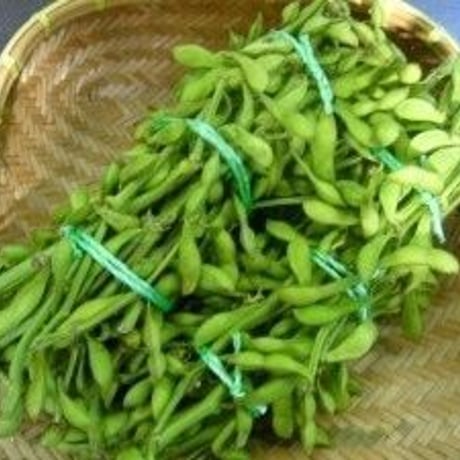 【10月限定】丹波篠山おくも村の黒枝豆2kg（枝付2本）