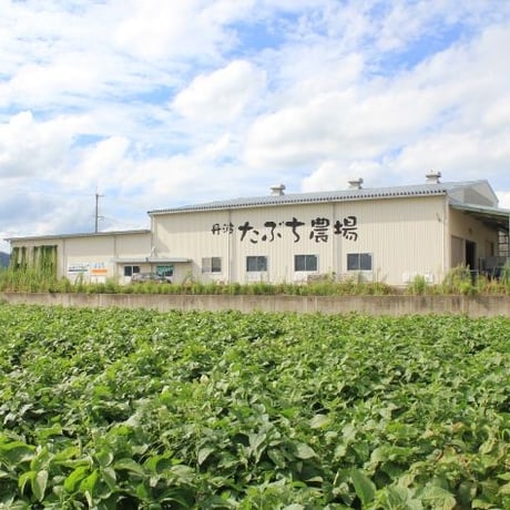 【兵庫県産】【新米】丹波篠山たぶち農場のこしひかり令和4年産（特別栽培米）10㎏【選べる精米】