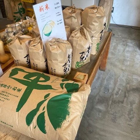 【兵庫県産】【新米】丹波篠山たぶち農場のこしひかり令和4年産（特別栽培米）10㎏【選べる精米】