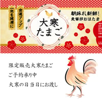開運　大寒たまご30個入(10×３パック）　（1月21日大寒の日の翌日に発送いたします【金運UP】）