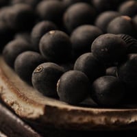 【送料無料】丹波黒大豆（兵庫県篠山産）大300g