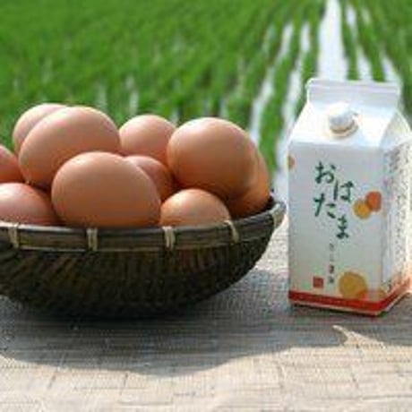 良質卵おはたま30個（割れ保証3個含む）【常温便　バラorパック】
