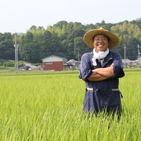 【兵庫県産】【新米】丹波篠山たぶち農場のこしひかり令和4年産（特別栽培米）10㎏【選べる精米】