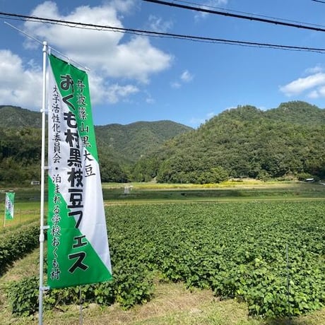 【10月限定】丹波篠山おくも村の黒枝豆2kg（枝付2本）