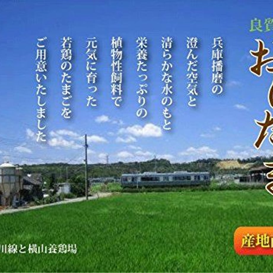56569e772b349298b20009be