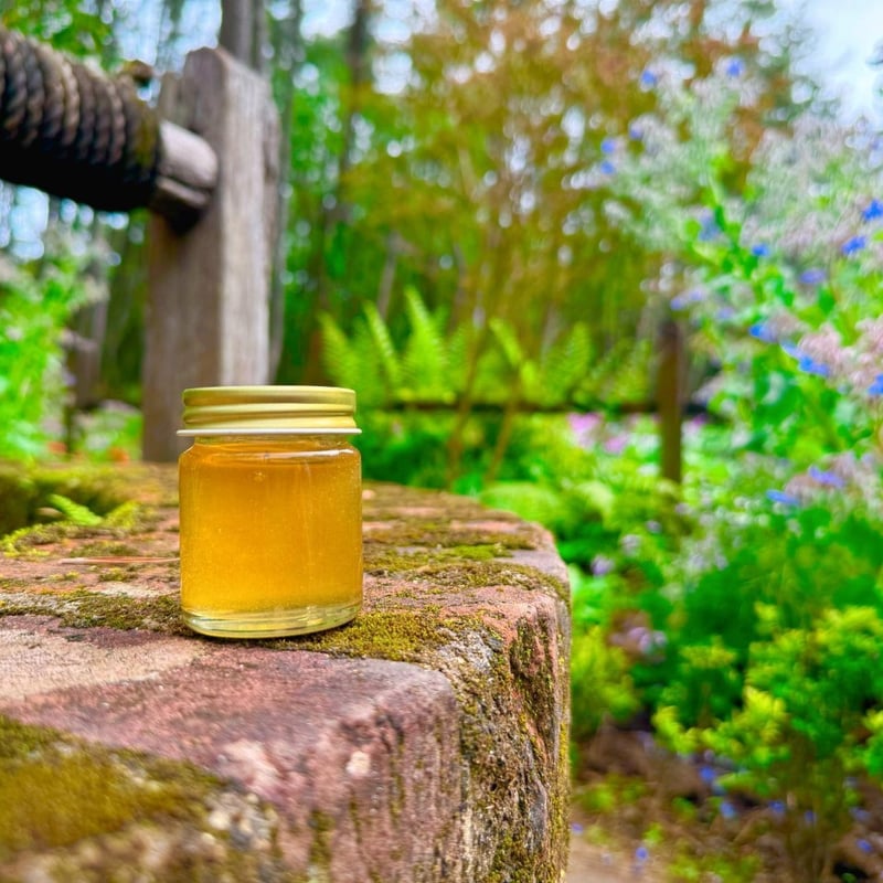 おひさまフィナンシェ 5個セット | 菓子工房そらいろ ネットショップ