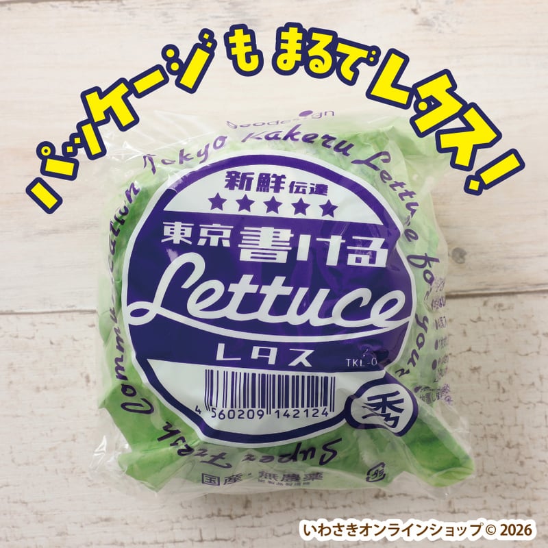 書けるレタス【スタッフセレクト商品】 | IWASAKI Online Shop