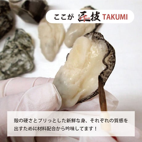 匠技（TAKUMI）キーホルダー　牡蠣（殻付き）