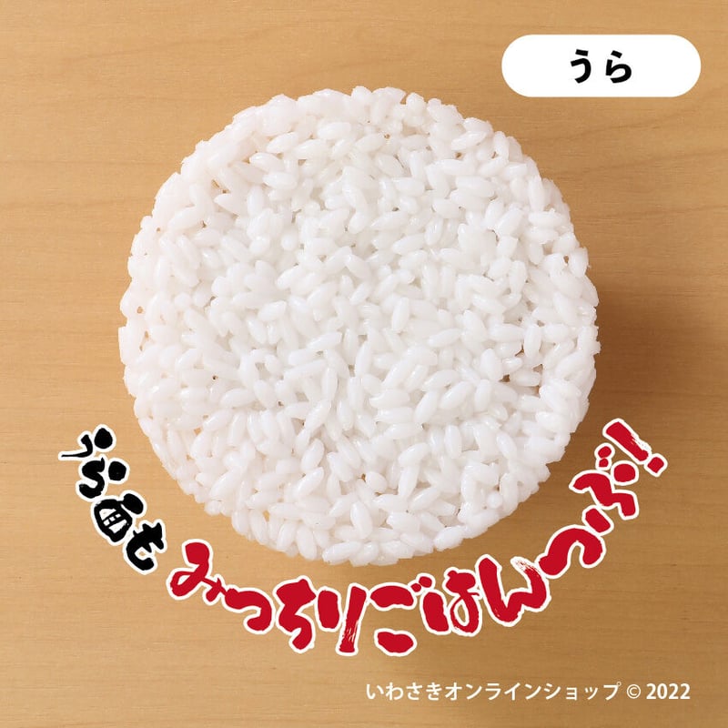 何か入れネバ！納豆ごはん小物入れのふた | IWASAKI Online Shop