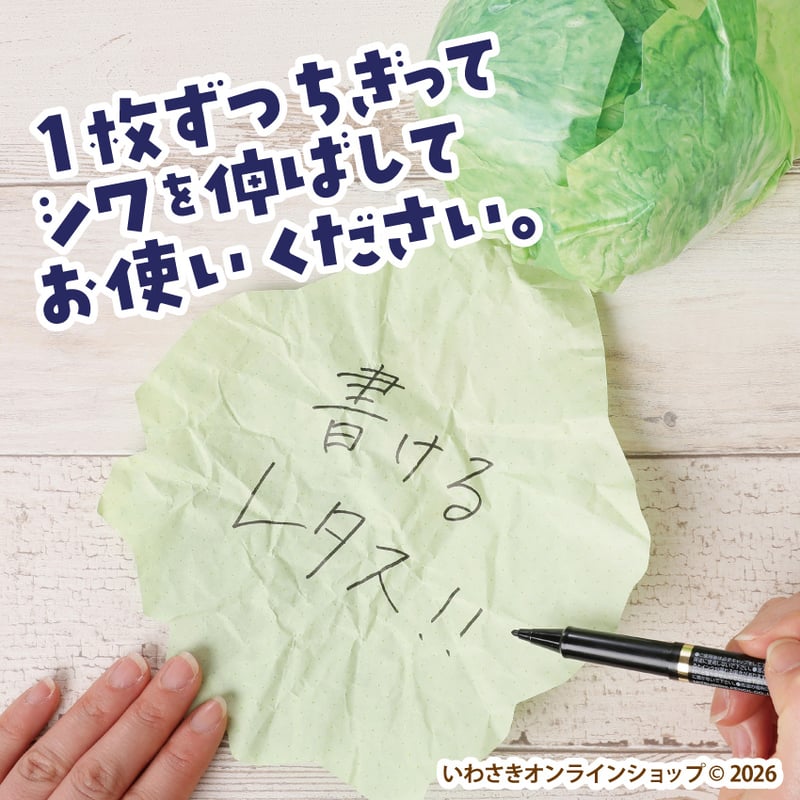 書けるレタス【スタッフセレクト商品】 | IWASAKI Online Shop