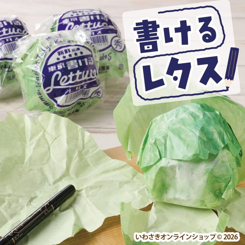 書けるレタス【スタッフセレクト商品】 | IWASAKI Online Shop