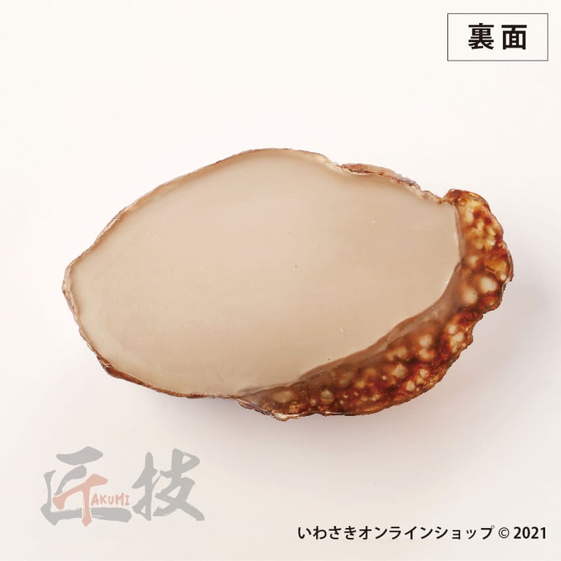 匠技（TAKUMI）厚切りステーキペーパーウエイト（ペン差し用穴付