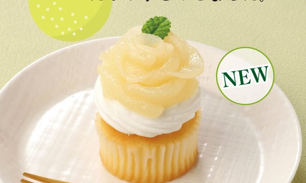 IWASAKI Online Shop
