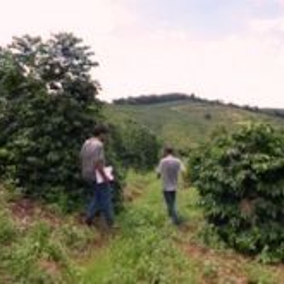 590868e43210d55e7c000c37