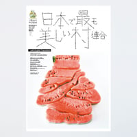季刊 日本で最も美しい村 Vol.20