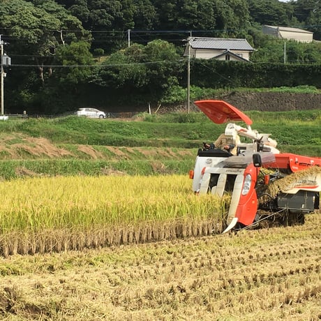 令和５年新米【安心の契約栽培米】長崎県平戸の棚田米なつほのか　5ｋｇ