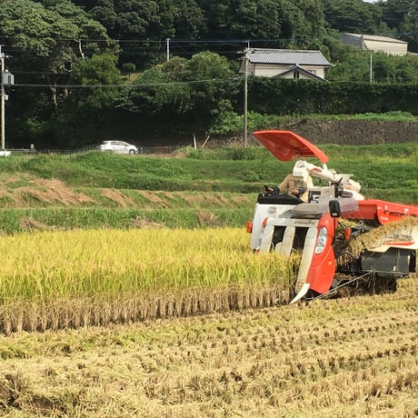 【安心の契約栽培米】長崎県平戸の棚田米なつほのか　5ｋｇ