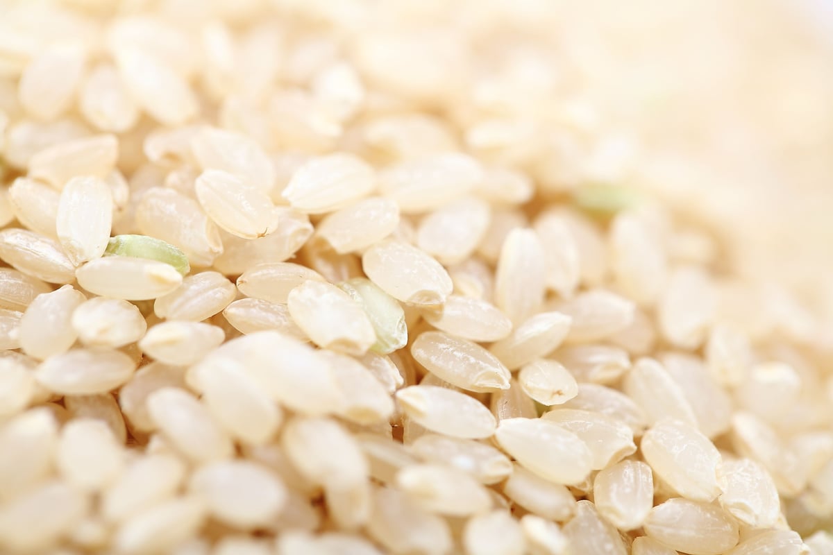 ご家庭の炊飯器で簡単に炊ける「無洗米 卑弥呼の玄米 」 1kg | おコメ