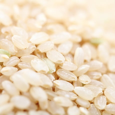 ご家庭の炊飯器で簡単に炊ける「無洗米　卑弥呼の玄米」　１ｋｇ×３