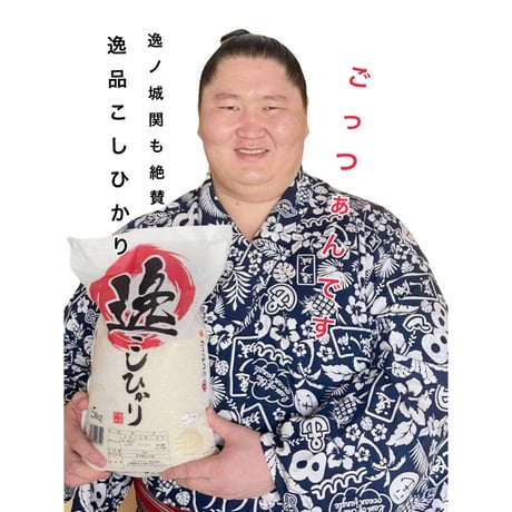 【米屋がおススメする究極の逸品】逸こしひかり　５ｋｇ