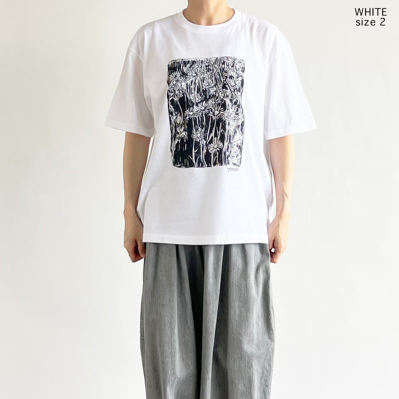 PRINTED BOX TEE【DAISY】 プリントTシャツ A52509 | HARVESTY