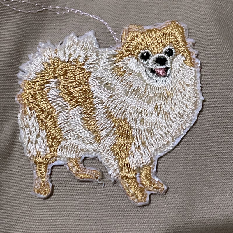 ポメラニアン多頭飼いオーバーサイズシャツ | peequod