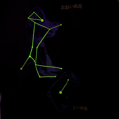 おおいぬ座はめっちゃイヌの形してるからわかるけど、点２つ結んだだけでこいぬ座と言い張っているこいぬバリ強引でかわいいねtee