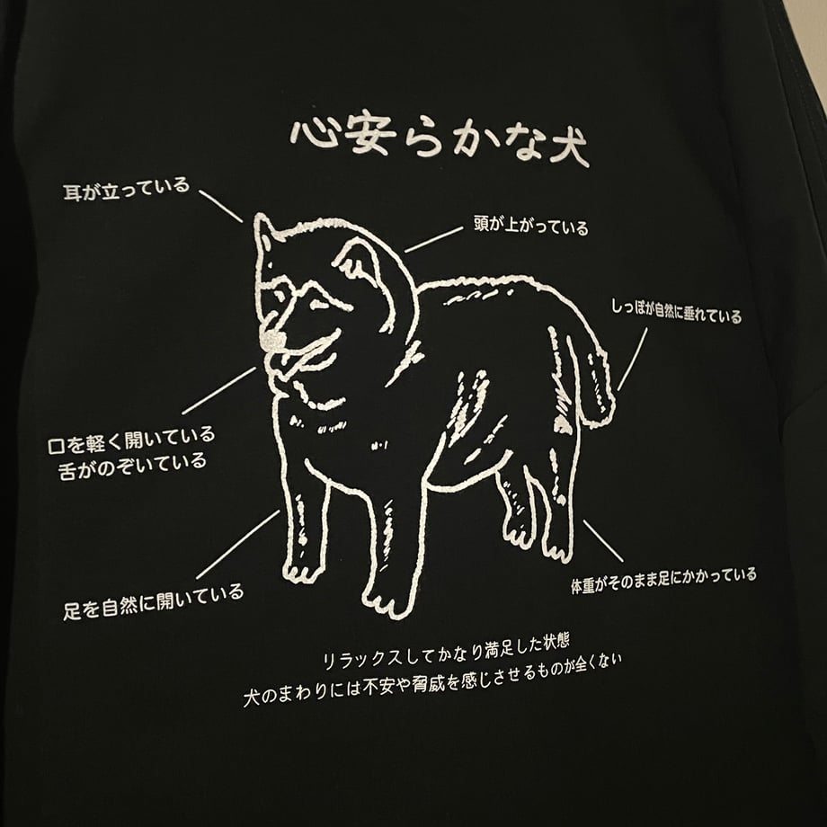 67601d7bce1b810b695c2aab