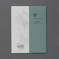 葦