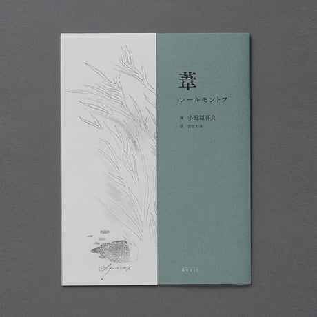 葦