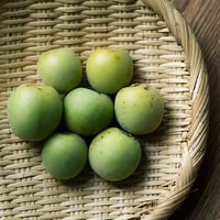 梅干し、梅酒などに完熟南高梅5Kg(予約受付)自然栽培20年 | 地球農園