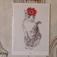Talltreeさんのイラストカード（動物）全６種