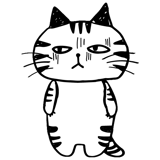 晴れねこ舎