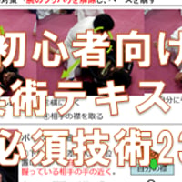 初心者向けブラジリアン柔術概要マニュアル～ゼロから学ぶ23の技術