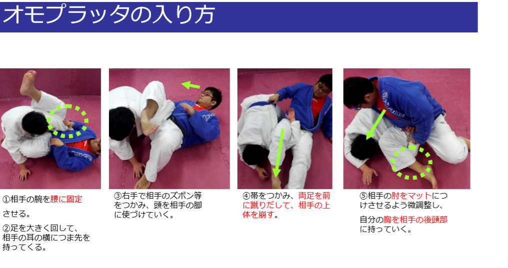 柔術教科書 谷口書店 ブラジリアン柔術教則を買うならBJJチャンネル