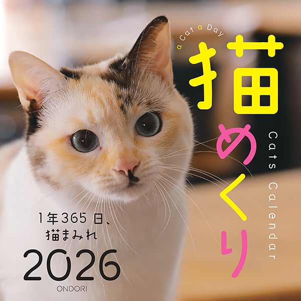 【猫】おまとめ売り2件 猫めくり2026 | 中央経済社／ONDORI ネットストア