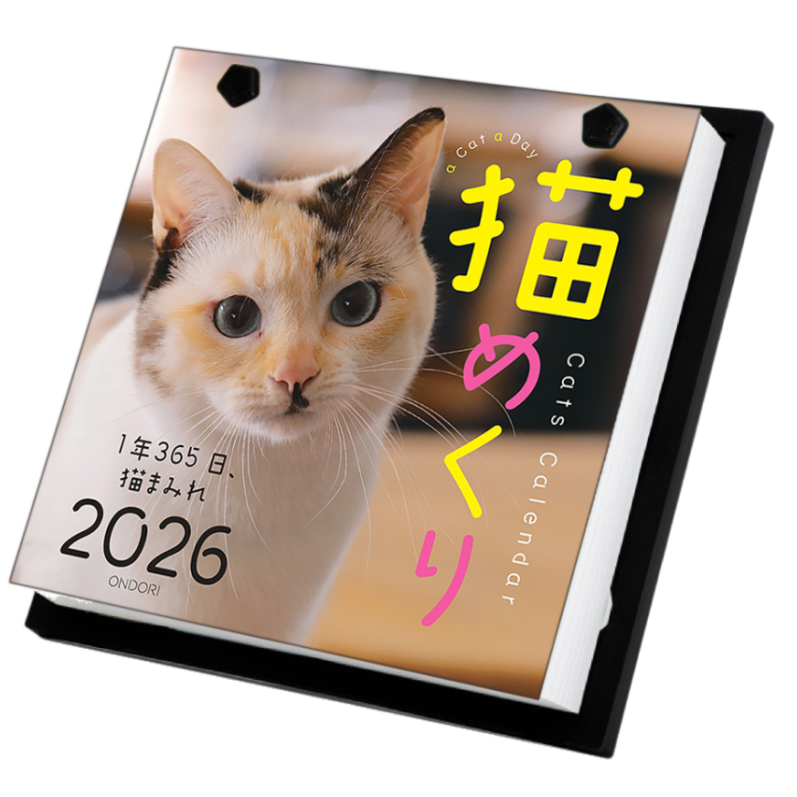 【猫】おまとめ売り2件 fit=scale-down,w=1200