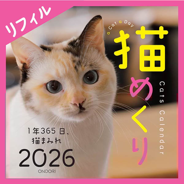 猫めくり2026リフィル（台座なし） | 中央経済社／ONDORI ネットストア
