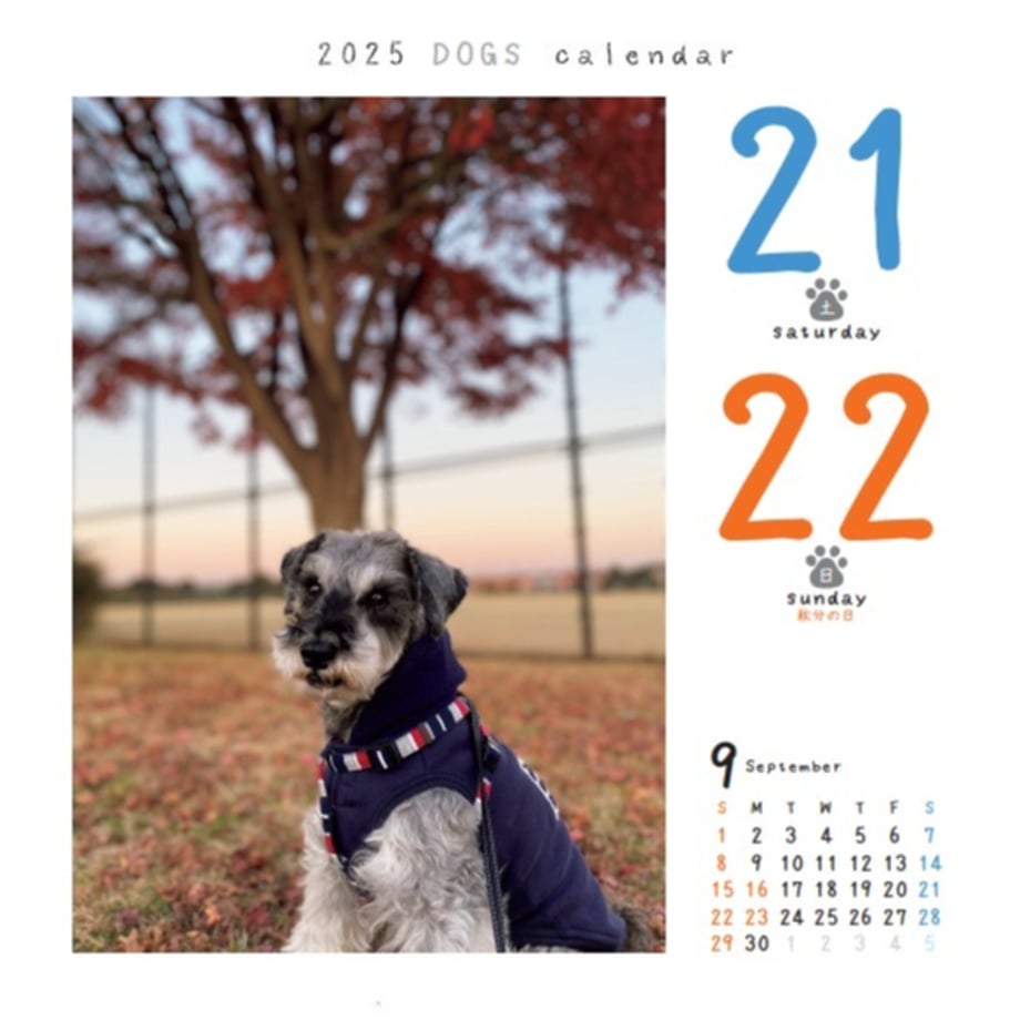 6a6aa1a4d2ff8fd70d9f4651