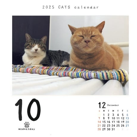 猫めくり2027