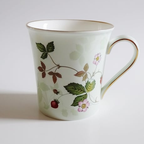 ウェッジウッドWEDGWOOD　ワイルドストロべリー　パステルビーカー　グリーン