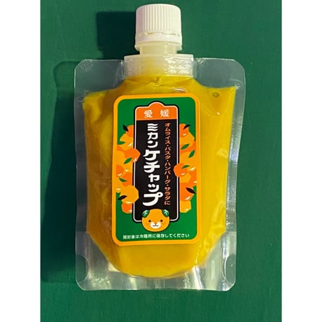 【配送料無料】愛媛県産 みかんケチャップ《 2袋 》