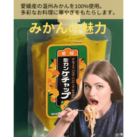 【配送料無料】愛媛県産 みかんケチャップ《 2袋 》